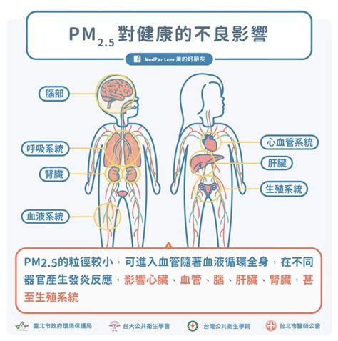 高樓層空氣品質|Purus 純淨空氣研究室